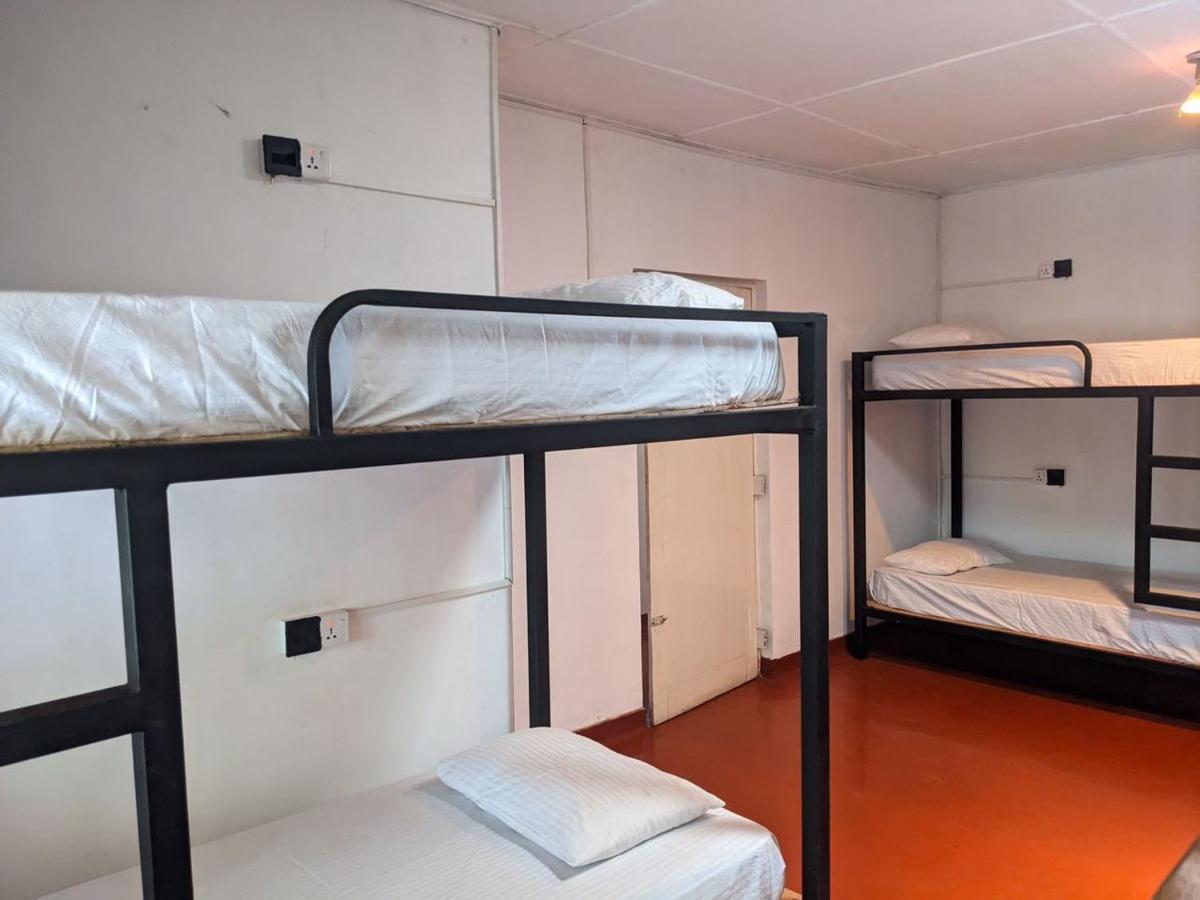 نوفارا إيلِيا Chilly Croc Hostel المظهر الخارجي الصورة