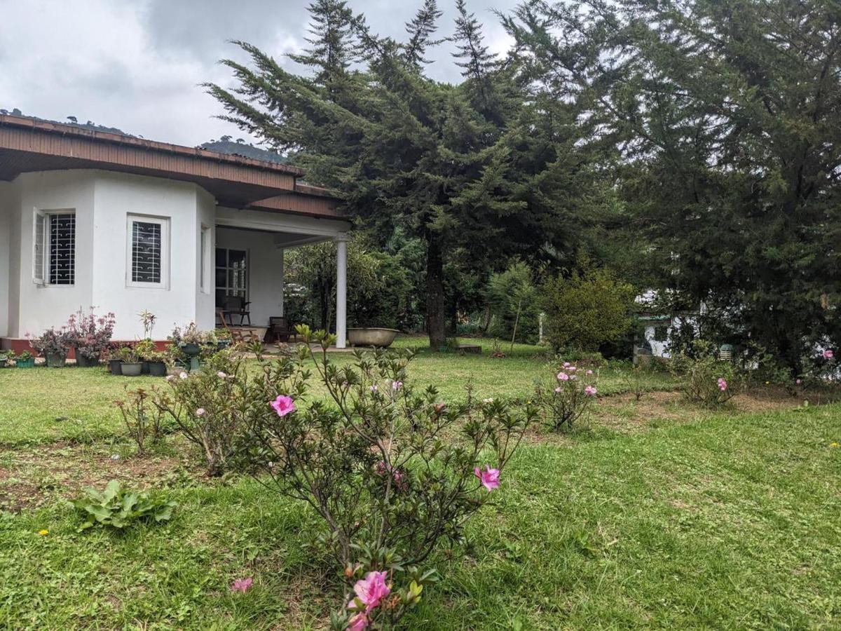 نوفارا إيلِيا Chilly Croc Hostel المظهر الخارجي الصورة