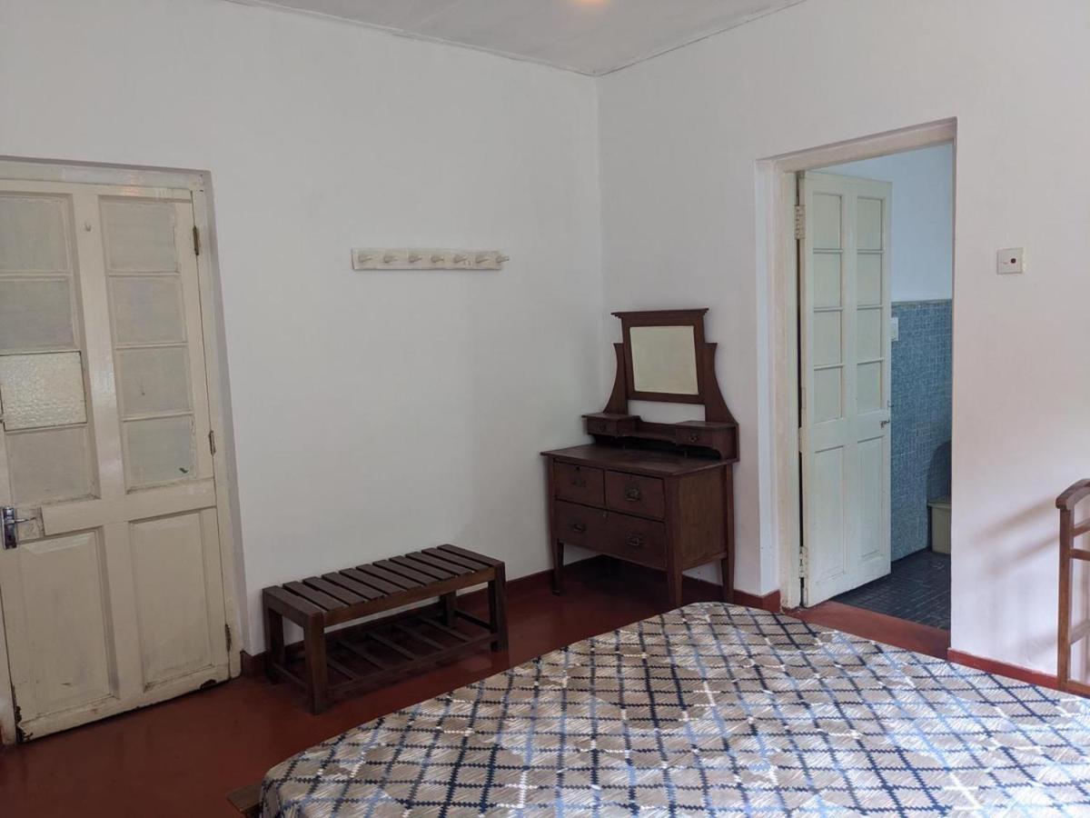 نوفارا إيلِيا Chilly Croc Hostel المظهر الخارجي الصورة