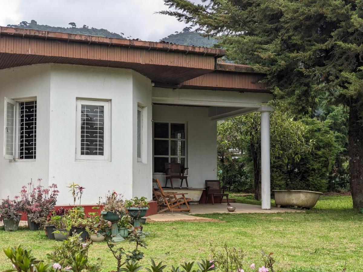 نوفارا إيلِيا Chilly Croc Hostel المظهر الخارجي الصورة