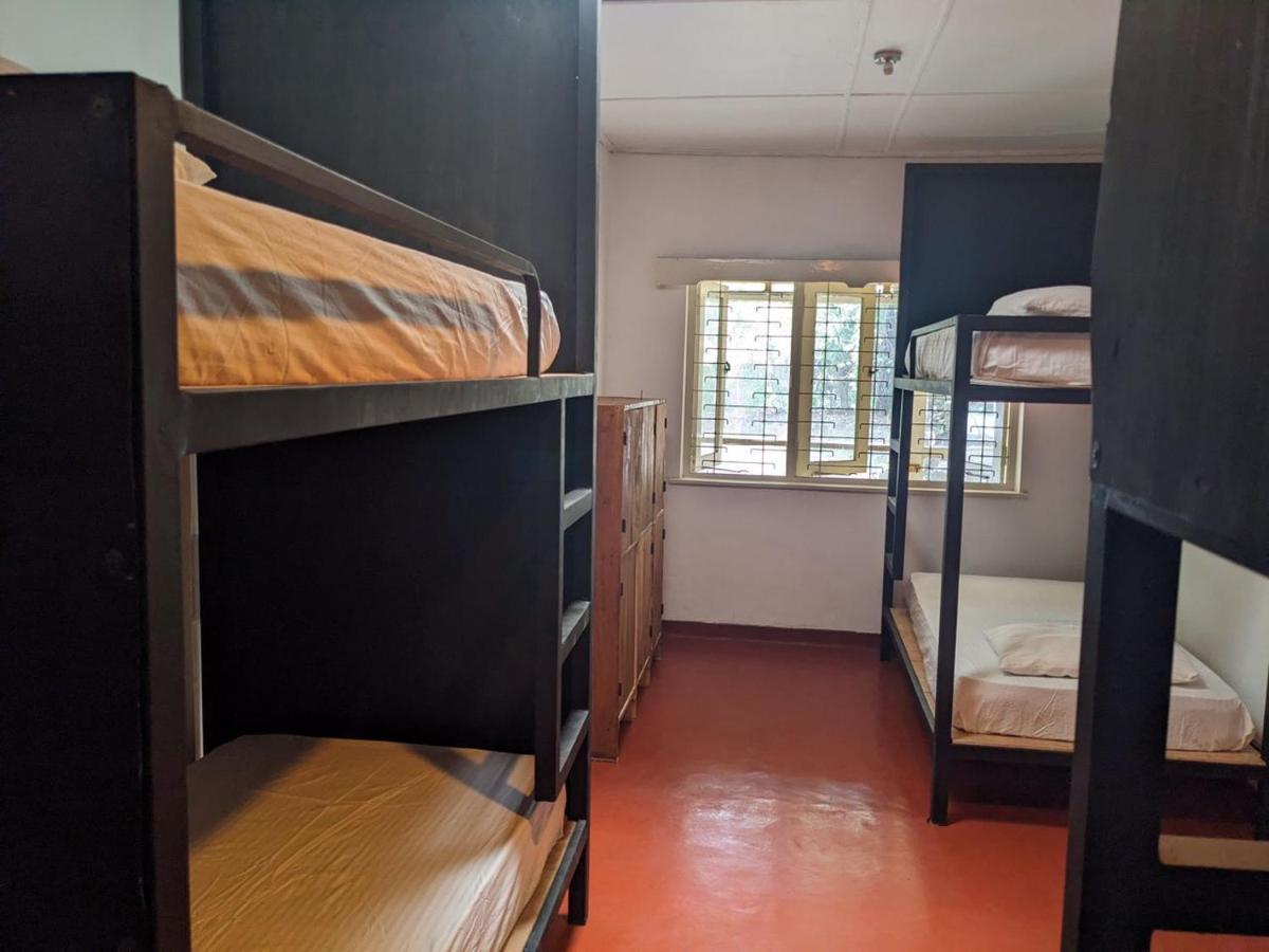نوفارا إيلِيا Chilly Croc Hostel المظهر الخارجي الصورة