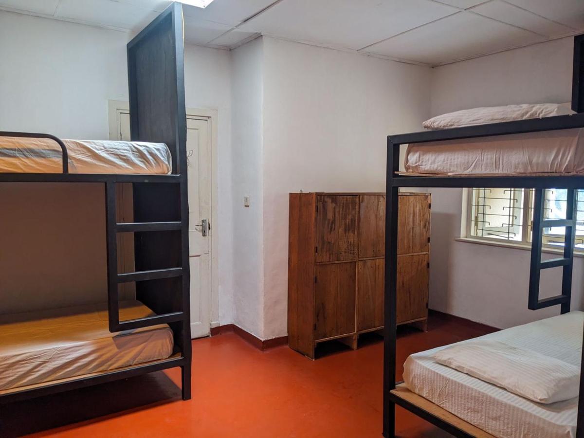 نوفارا إيلِيا Chilly Croc Hostel المظهر الخارجي الصورة