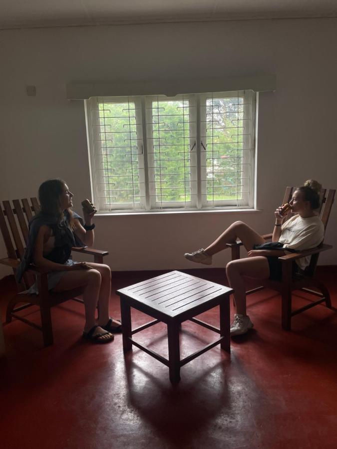 نوفارا إيلِيا Chilly Croc Hostel المظهر الخارجي الصورة