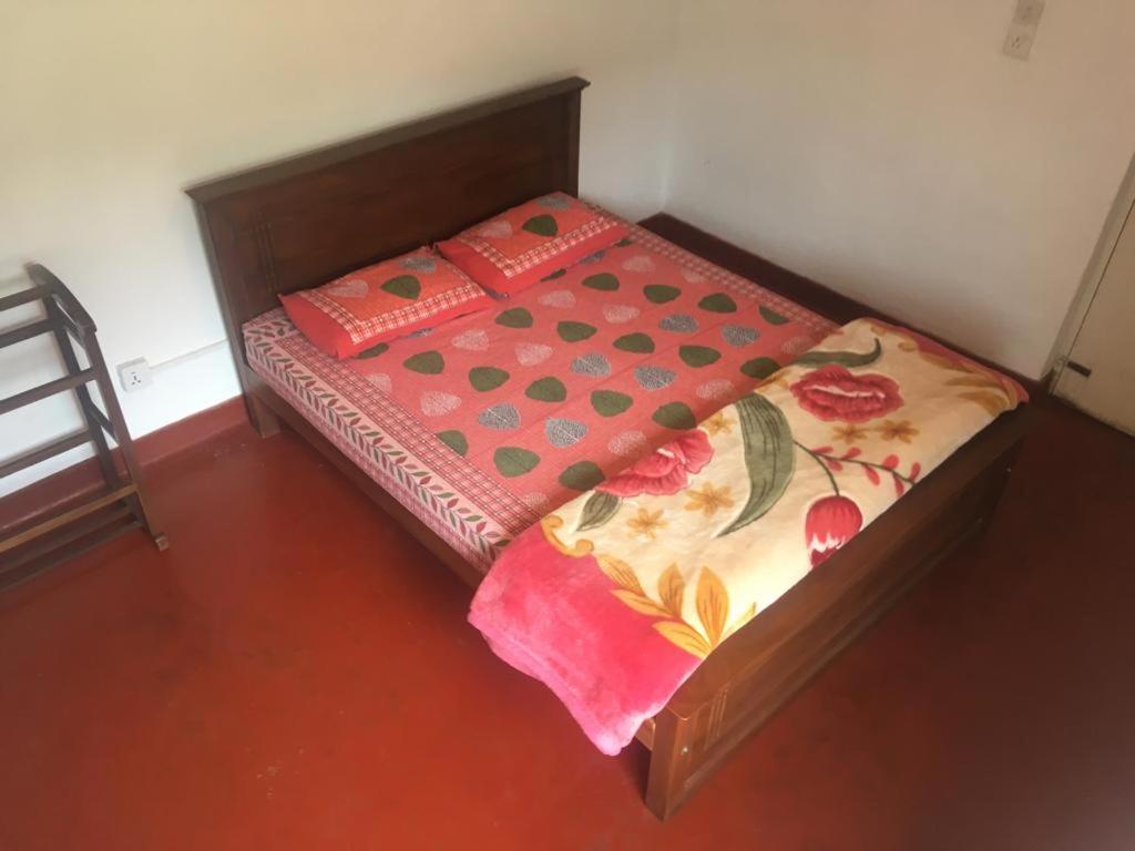 نوفارا إيلِيا Chilly Croc Hostel المظهر الخارجي الصورة