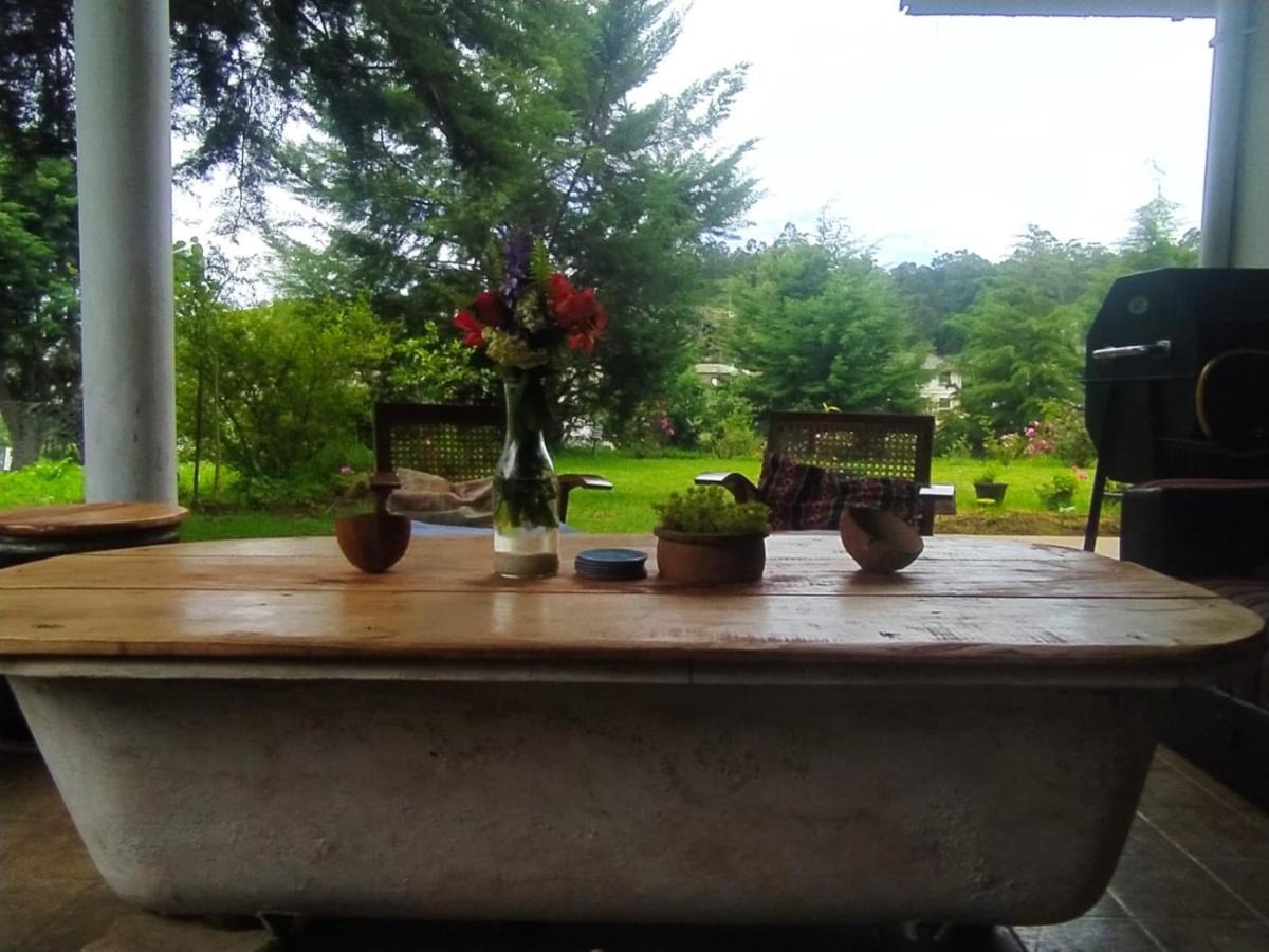نوفارا إيلِيا Chilly Croc Hostel المظهر الخارجي الصورة