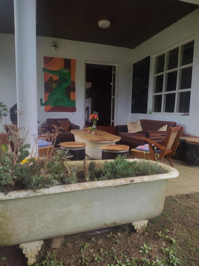 نوفارا إيلِيا Chilly Croc Hostel المظهر الخارجي الصورة